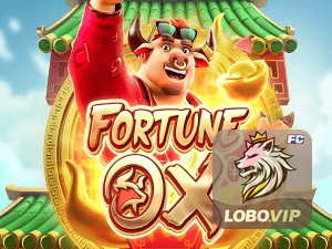 Material promocional do app LOBOBET — ilustração, não métricas auditadas nesta página