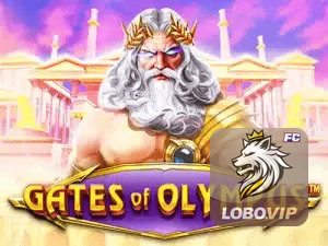 LOBOBET APP mobile iOS Android - 187 mil downloads São Paulo Rio BH